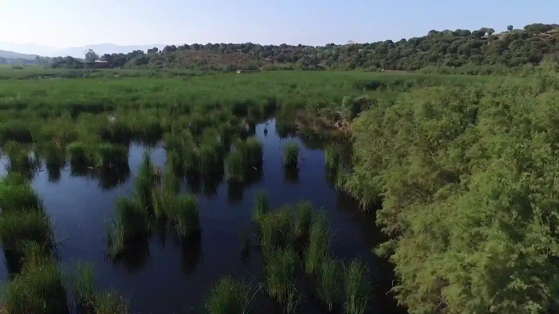 Vidéo en cours de chargement...